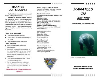 manatees in belize - Coastal Zone Management Authority and Institute