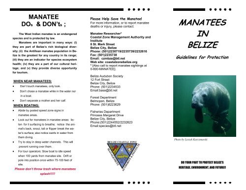 manatees in belize - Coastal Zone Management Authority and Institute