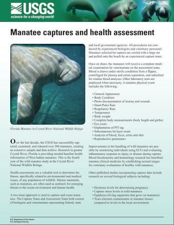 Manatee Captures and Health Assessment Handout - USGS