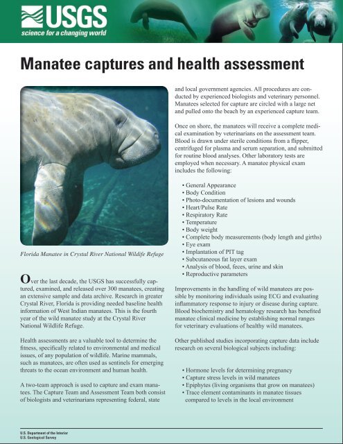 Manatee Captures and Health Assessment Handout - USGS