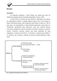 Biologia e Medicina Veterinária de Peixe-boi Marinho