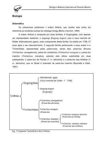 Biologia e Medicina Veterinária de Peixe-boi Marinho