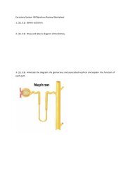 Excretory System IB Objectives Review Worksheet 1. (11.3.1) Define ...