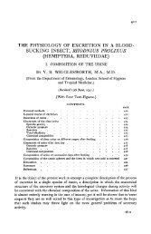 the physiology of excretion in a blood sucking insect, rhodnius prolixus