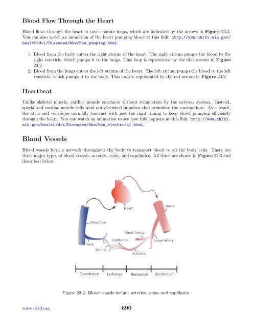 Chapter 23 The Circulatory, Respiratory, Digestive, and Excretory ...