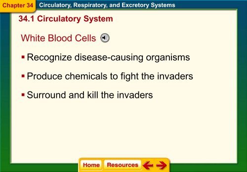 Chapter 34 The Circulatory Respiratory and Excretory Systems