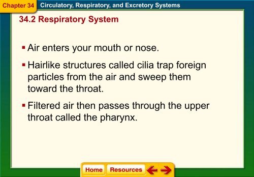 Chapter 34 The Circulatory Respiratory and Excretory Systems