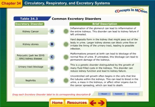 Chapter 34 The Circulatory Respiratory and Excretory Systems