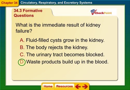 Chapter 34 The Circulatory Respiratory and Excretory Systems