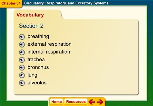 Chapter 34 The Circulatory Respiratory and Excretory Systems