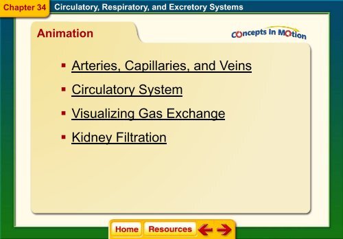 Chapter 34 The Circulatory Respiratory and Excretory Systems