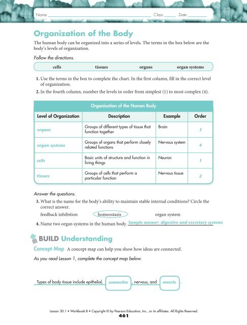 Body Systems Chart Answers