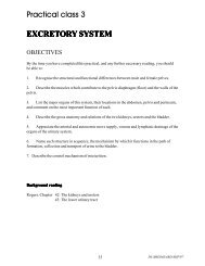 Section 38 3 The Excretory System Pages 985 989