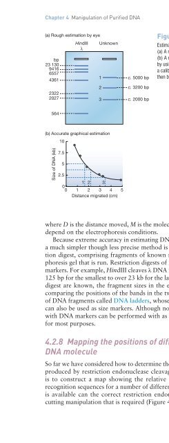 Gene Cloning and DNA Analysis: An Introduction, Sixth Edition ...