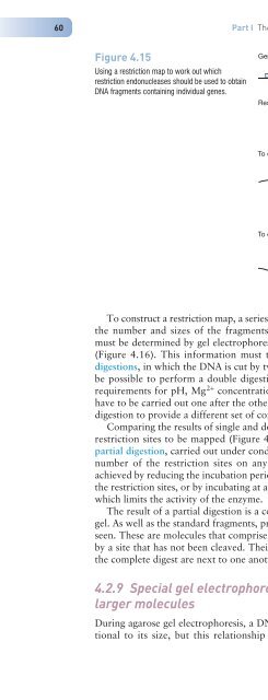 Gene Cloning and DNA Analysis: An Introduction, Sixth Edition ...