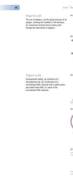 Gene Cloning and DNA Analysis: An Introduction, Sixth Edition ...