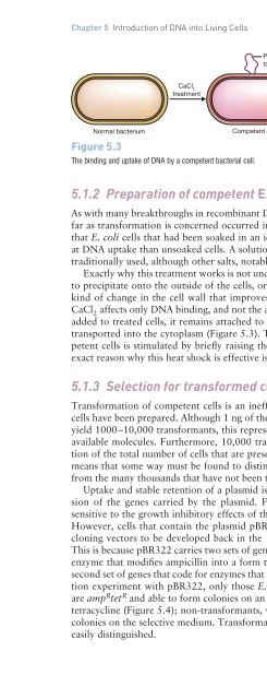 Gene Cloning and DNA Analysis: An Introduction, Sixth Edition ...