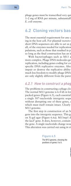 Gene Cloning and DNA Analysis: An Introduction, Sixth Edition ...