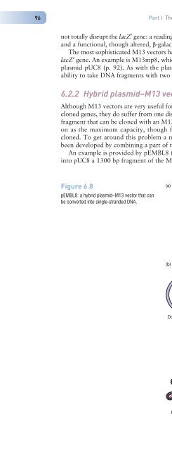 Gene Cloning and DNA Analysis: An Introduction, Sixth Edition ...