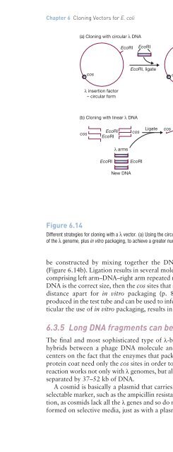 Gene Cloning and DNA Analysis: An Introduction, Sixth Edition ...