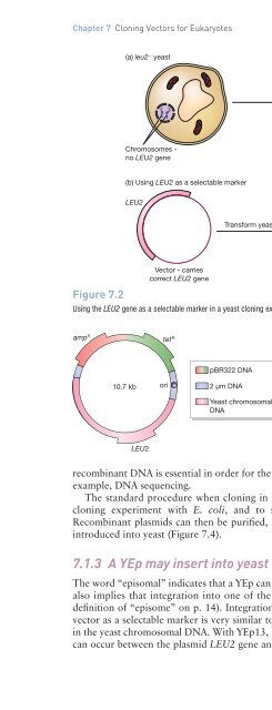 Gene Cloning and DNA Analysis: An Introduction, Sixth Edition ...