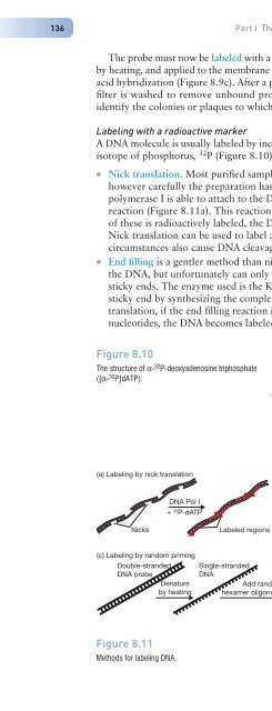 Gene Cloning and DNA Analysis: An Introduction, Sixth Edition ...