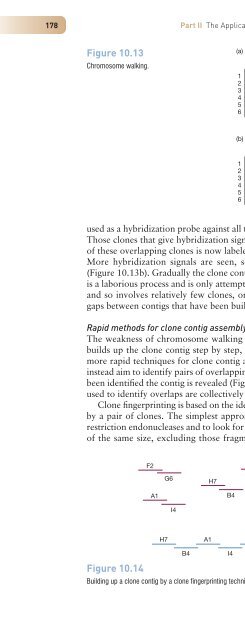 Gene Cloning and DNA Analysis: An Introduction, Sixth Edition ...