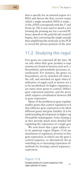 Gene Cloning and DNA Analysis: An Introduction, Sixth Edition ...