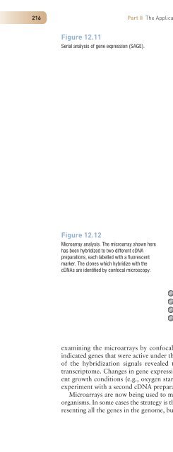 Gene Cloning and DNA Analysis: An Introduction, Sixth Edition ...