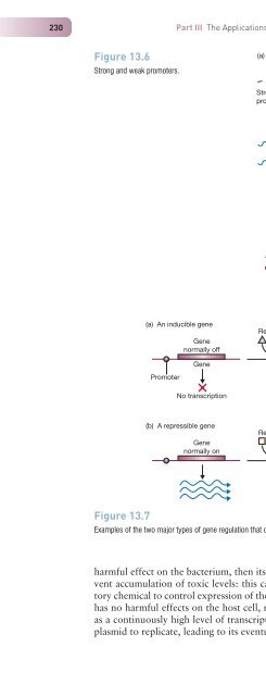 Gene Cloning and DNA Analysis: An Introduction, Sixth Edition ...