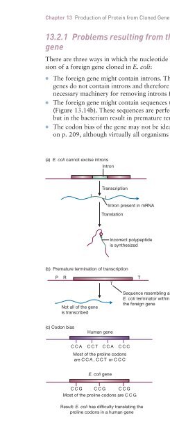 Gene Cloning and DNA Analysis: An Introduction, Sixth Edition ...