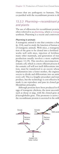 Gene Cloning and DNA Analysis: An Introduction, Sixth Edition ...