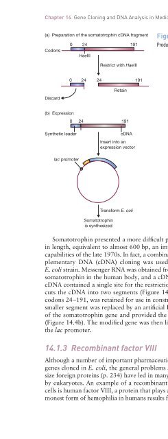 Gene Cloning and DNA Analysis: An Introduction, Sixth Edition ...