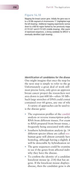 Gene Cloning and DNA Analysis: An Introduction, Sixth Edition ...