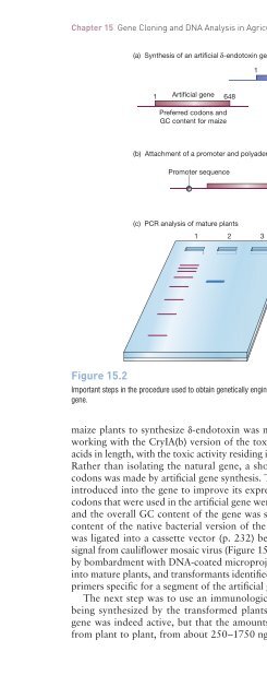 Gene Cloning and DNA Analysis: An Introduction, Sixth Edition ...