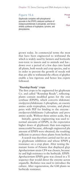 Gene Cloning and DNA Analysis: An Introduction, Sixth Edition ...