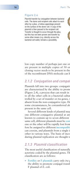 Gene Cloning and DNA Analysis: An Introduction, Sixth Edition ...