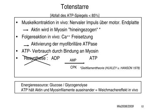 Rechtsmedizin Vorgeschichte - Institut für Rechtsmedizin ...