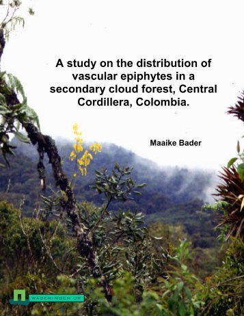 A study on the distribution of vascular epiphytes in a secondary ...
