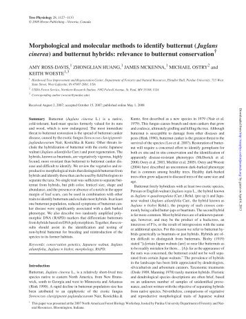 Morphological and molecular methods to identify ... - Tree Physiology