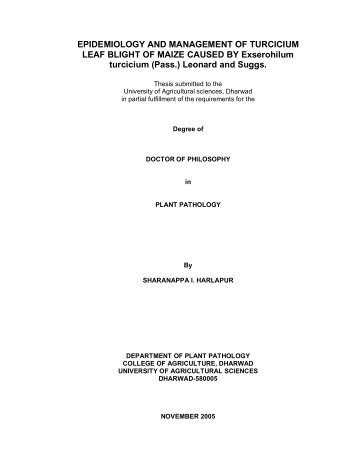 epidemiology and management of turcicium leaf blight of