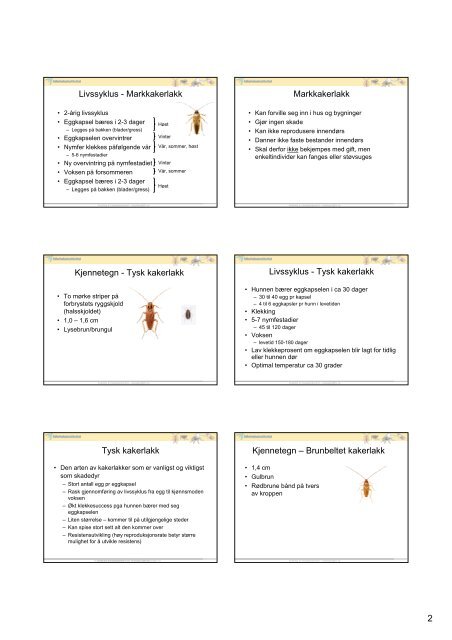 5 - Nasjonalt folkehelseinstitutt