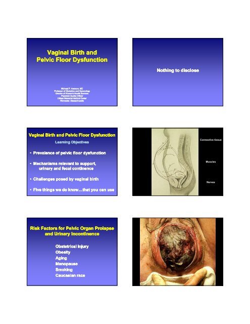 Vaginal Birth And Pelvic Floor Dysfunction Vaginal Birth And