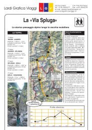 La «Via Spluga» - Lardi Grafica Viaggi