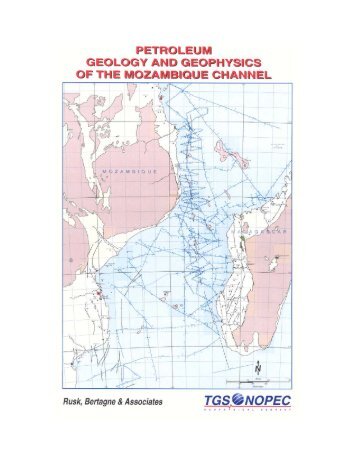 Petroleum geology and geophysics of the mozambique channel