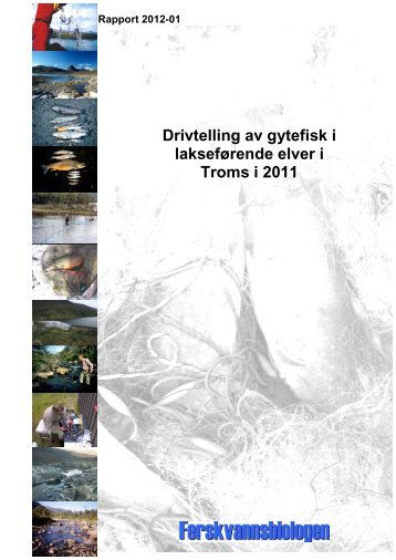 Drivtelling av gytefisk i lakseførende elver i Troms i 2011