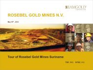 ROSEBEL GOLD MINES N.V. - Iamgold