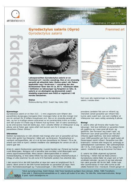 Faktaark: Gyrodactylus salaris (Gyro) - Artsdatabanken