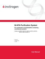 Ni-NTA Purification System - Invitrogen