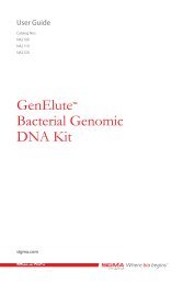 purelink genomic dna mini kit